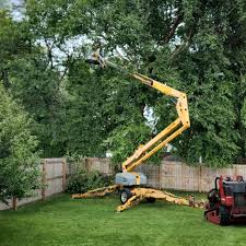 Trusted Ellenton, FL Tree Care Services Experts